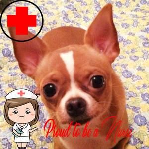 Meet your Posher, Pat